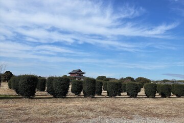 平城京　大極殿と朱雀門