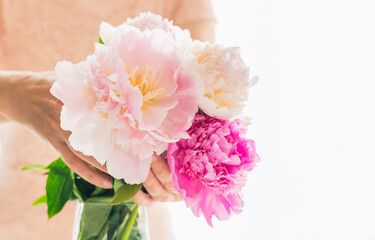 Pink peonies in woman's hands. Elegant bunch of beautiful flowers, soft white background, shallow dof, copy space.  Love, wedding, Valentine Day, romantic concept