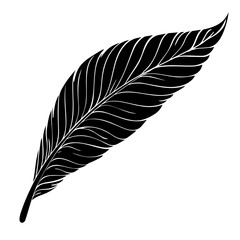 Bird's feather close-up. Black silhouette on a white background. Material for Photoshop, printing on paper or fabric. Vector graphics.