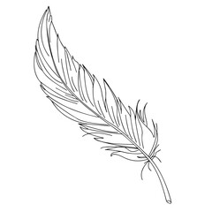 Obraz premium Bird's feather close-up. Silhouette on a white background. Material for Photoshop, printing on paper or fabric. Vector graphics.