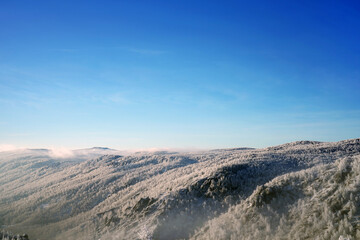 Fototapeta na wymiar Mountainous area covered with dense forest on a frosty winter day.