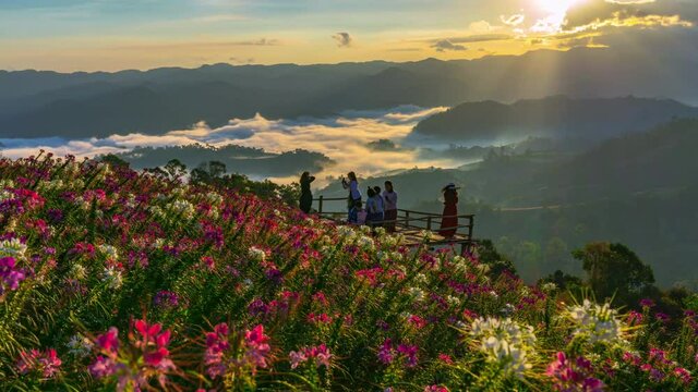 Time lapse 4k.View point of the sea of mist and flower garden in Mae Sot District, Tak Province, Thailand.