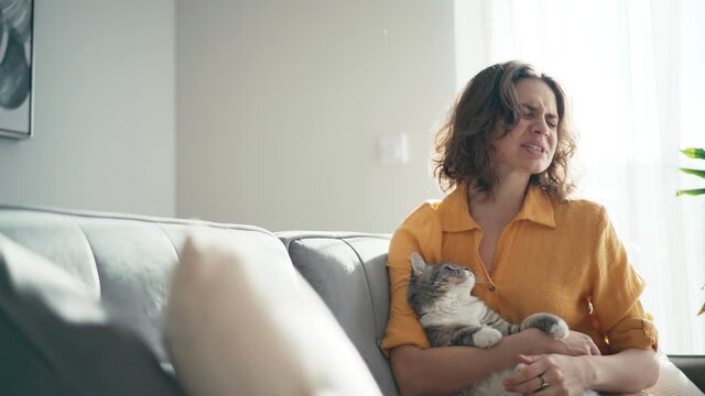 A playful fluffy cat scratching its owner's face while she strokes it. The Pet owner gets hurt and reacts emotionally.