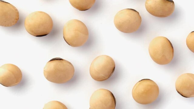 soybean isolated on white background. top view