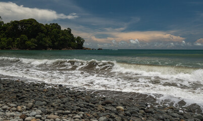 Fototapeta na wymiar Stony beach old tree Costa Rica Pacific ocean