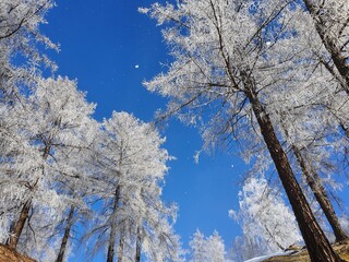 Wintermärchen
