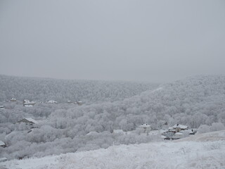 view of snow-covered city and urban houses on horizon in overcast winter day