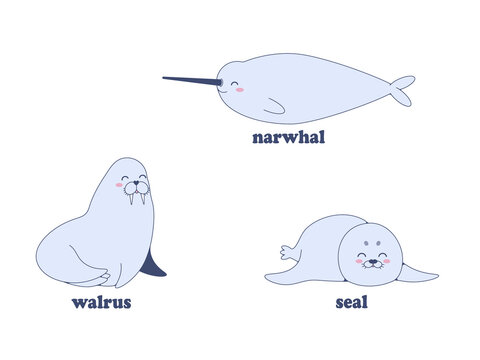 Happy and plump narwhal, seal and walrus. Image in jpeg format.