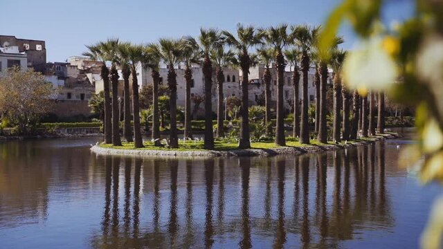 Island Of Palm Trees In The Jnan Sbil Gardens
