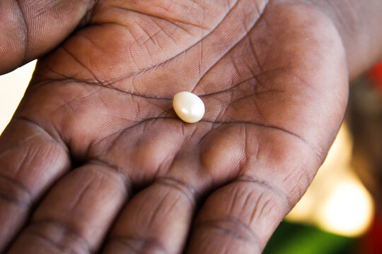 Pearl Hunting. White Pearl On Black Mans Hand