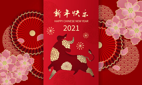 Happy Lunar New Year 2021, The Year Of Ox Decorated With Oriental Fan And Cherry Blossom Flowers. Elegant Style Banner. Chinese Text Means: Happy New Year.