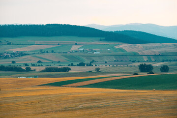 Colorful fields on countryside