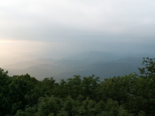 view of the forest valley in the fog