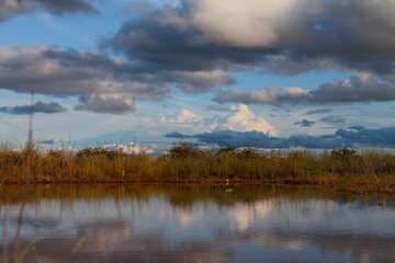 Fototapeta premium Water