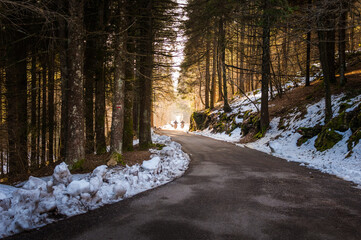 winter way