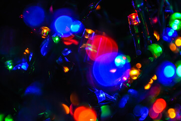 christmas lights on the tree