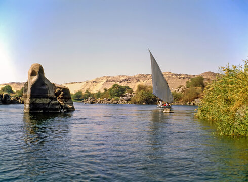 Elephant Island, Asuan