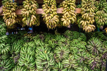 Bananas hung for sale. These bananas are sold in the market. Banana is a fruit that is widely known...
