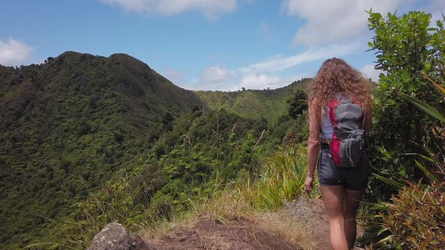 Hiking through dense native bush, Mt Karioi, New Zealand