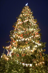 beautiful tall bright christmas tree in the night in lights with star on the top