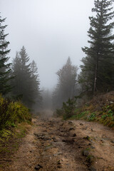leśna ścieżką skąpana w porannej mgle. jesienna aura w polskich górach © Kamil_k2p