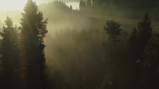 Power line pylon standing in middle of dreamy forest during sunrise with mist