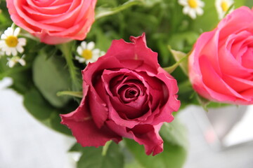 Naklejka premium Rose
