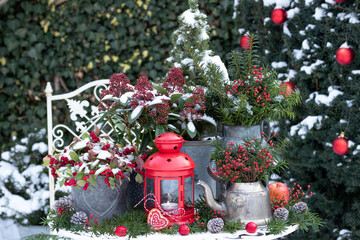 Weihnachts-Gartendekoration mit roter Laterne und Winterpflanzen in Zinktöpfen