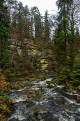 Żółte porosty na skałach nad rzeką Szklarka, Szklarska Poręba, Karkonosze, Polska