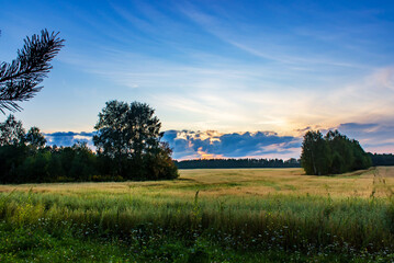 Beautiful summer sunset in the field. Idea of a rich harvest.