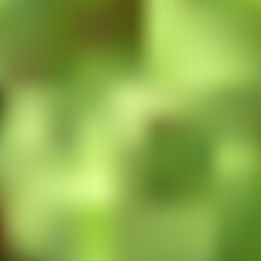 Abstract blurred background gren