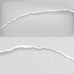 Pieces of torn, ripped white paper strips with soft shadow are on grey, transparent background for text. Vector illustration