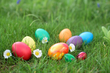 Easter hunt - red and orange eggs in a lawn with daisies and colored hen eggs