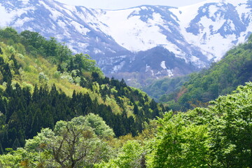 新緑の季節。残雪の奥羽山脈。一関、岩手、日本。５月上旬。