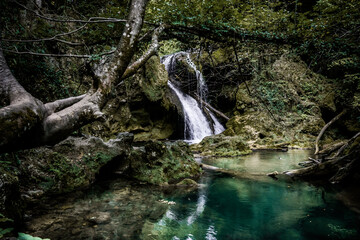waterfall in the forest