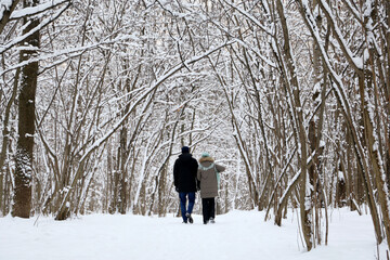 Couple walking in winter park, rear view. Snow covered trees, cold weather, nature after snowfall