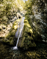 waterfall in the forest