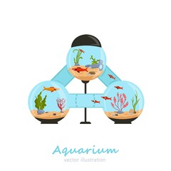 Beautiful round fish tank image