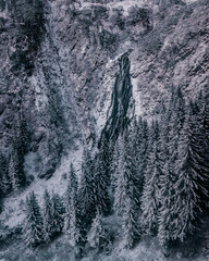 snow covered forest and waterfall