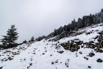 snow covered mountains