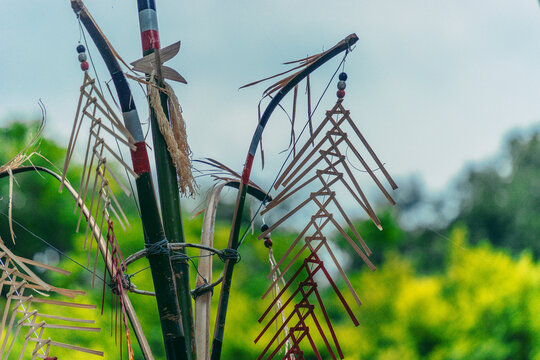 Tree mentioned (Vietnamese name is Cay Neu) - symbol of ethnic minority spiritual Kontum, Vietnam.