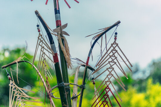 Tree mentioned (Vietnamese name is Cay Neu) - symbol of ethnic minority spiritual Kontum, Vietnam.