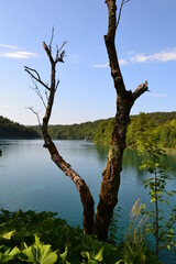 Plitvice lakes in Croatia. Turquoise water, waterfalls, woods, nature