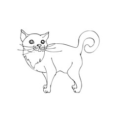 hand drawn vector children's coloring book of cat. vector
