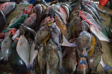Fish market Victoria Mahe Seychelles