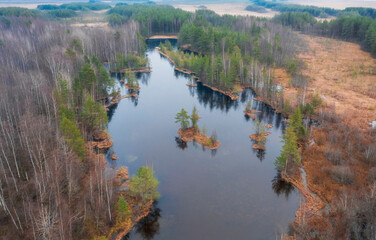 A beautiful lake with an island in the Sestroretsk bog among the forest near the ecological trail in St. Petersburg. Russia