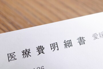 医療費明細書
