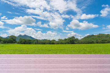 Wood plank on natural green grass field