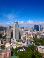 Fototapeta na wymiar 東京タワーからの眺め