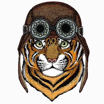 Baby tiger, small little tiger for children. Aviator motorcycle biker helmet with glasses